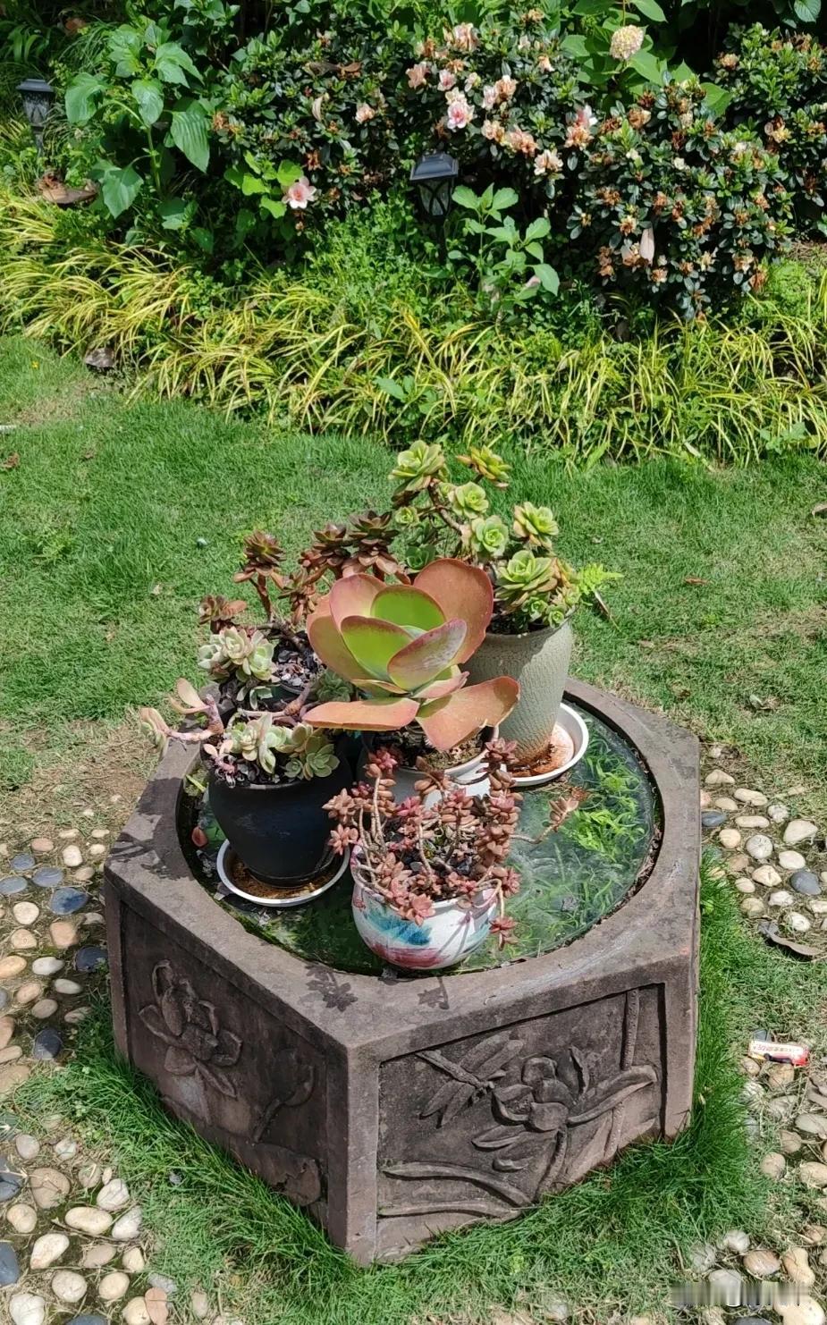 远的近的，仔细一看都是花[大笑]