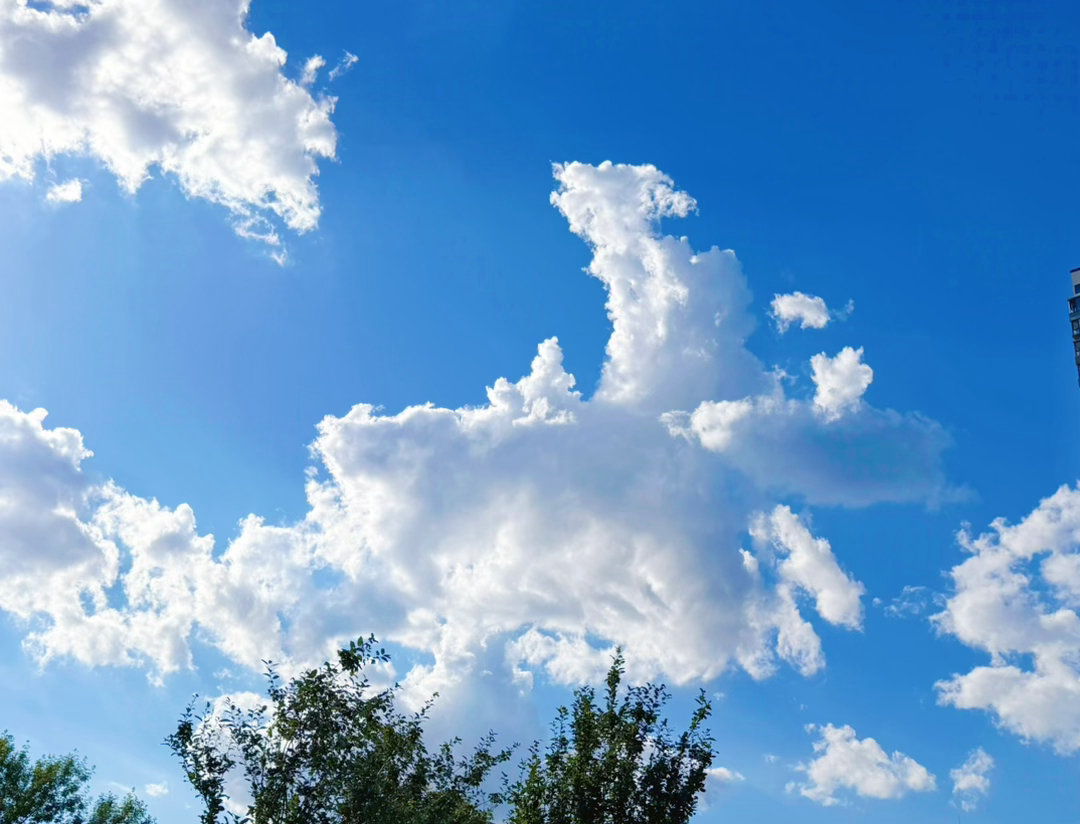 最近的天空超好看 