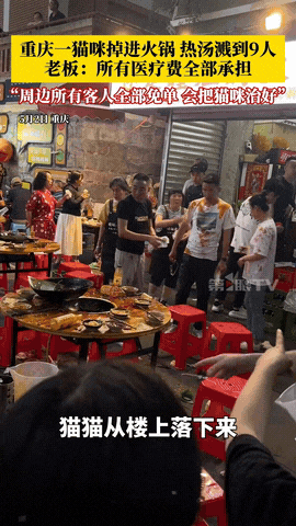 重庆老板大义！5月2日，重庆一家露天火锅店，当时顾客们都在用餐，不料，一只野猫从
