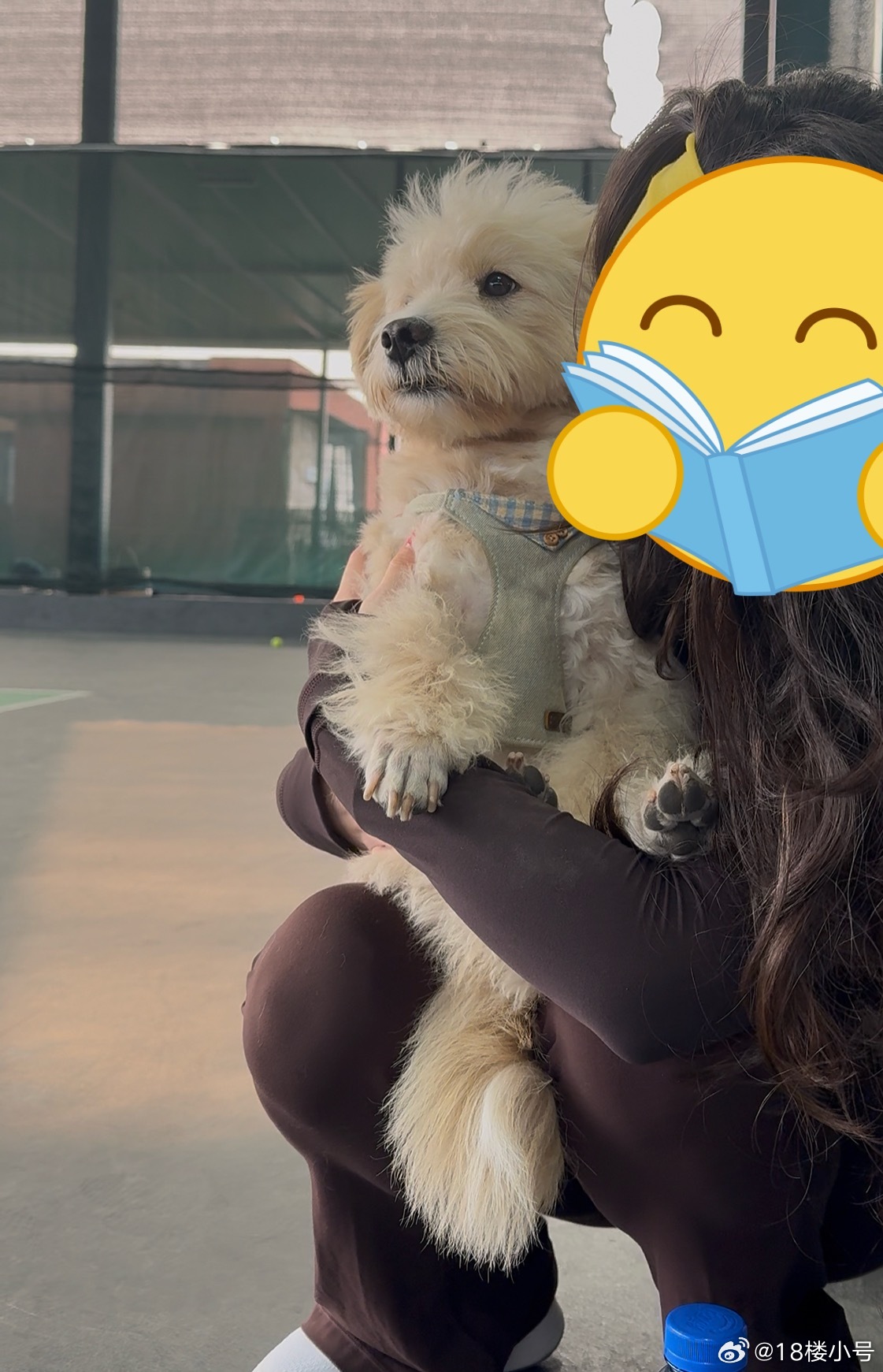 看看我们妈宝修狗 