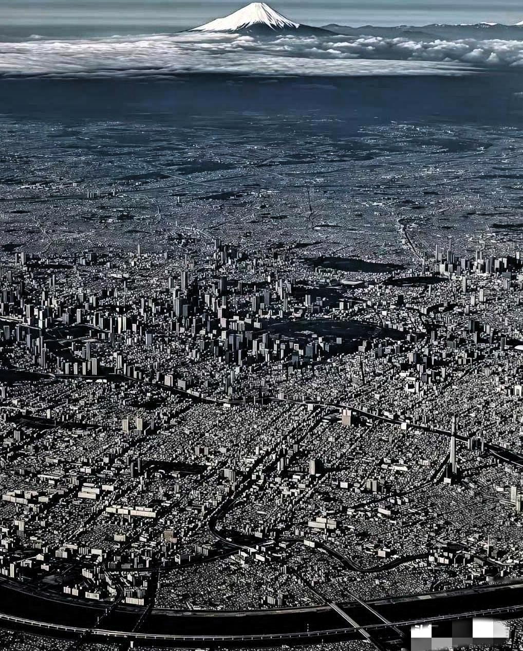 一图破防：原来这才是日本的终极恐惧。