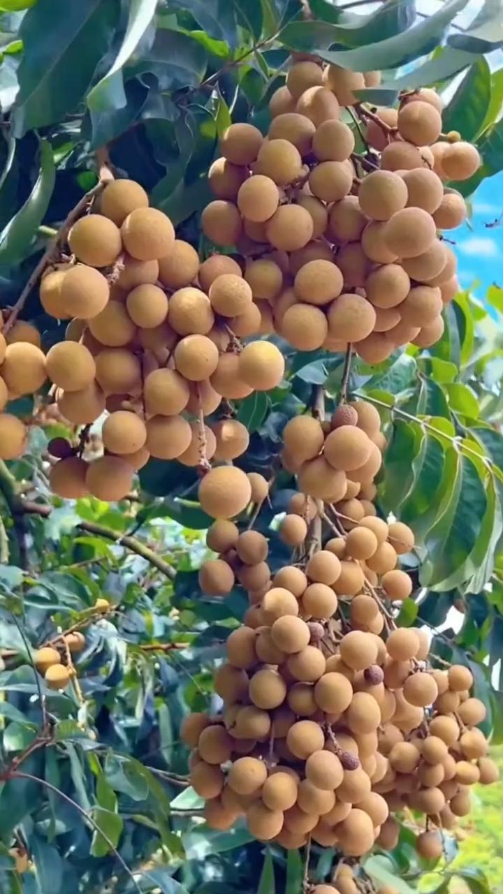 人生是很累的，你现在不累，以后就会更累。人生是很苦的，你现在不苦，以后就会更苦。