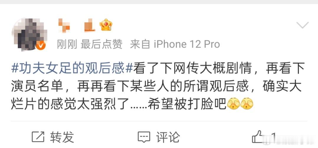 应该不会吧电影功夫女足
