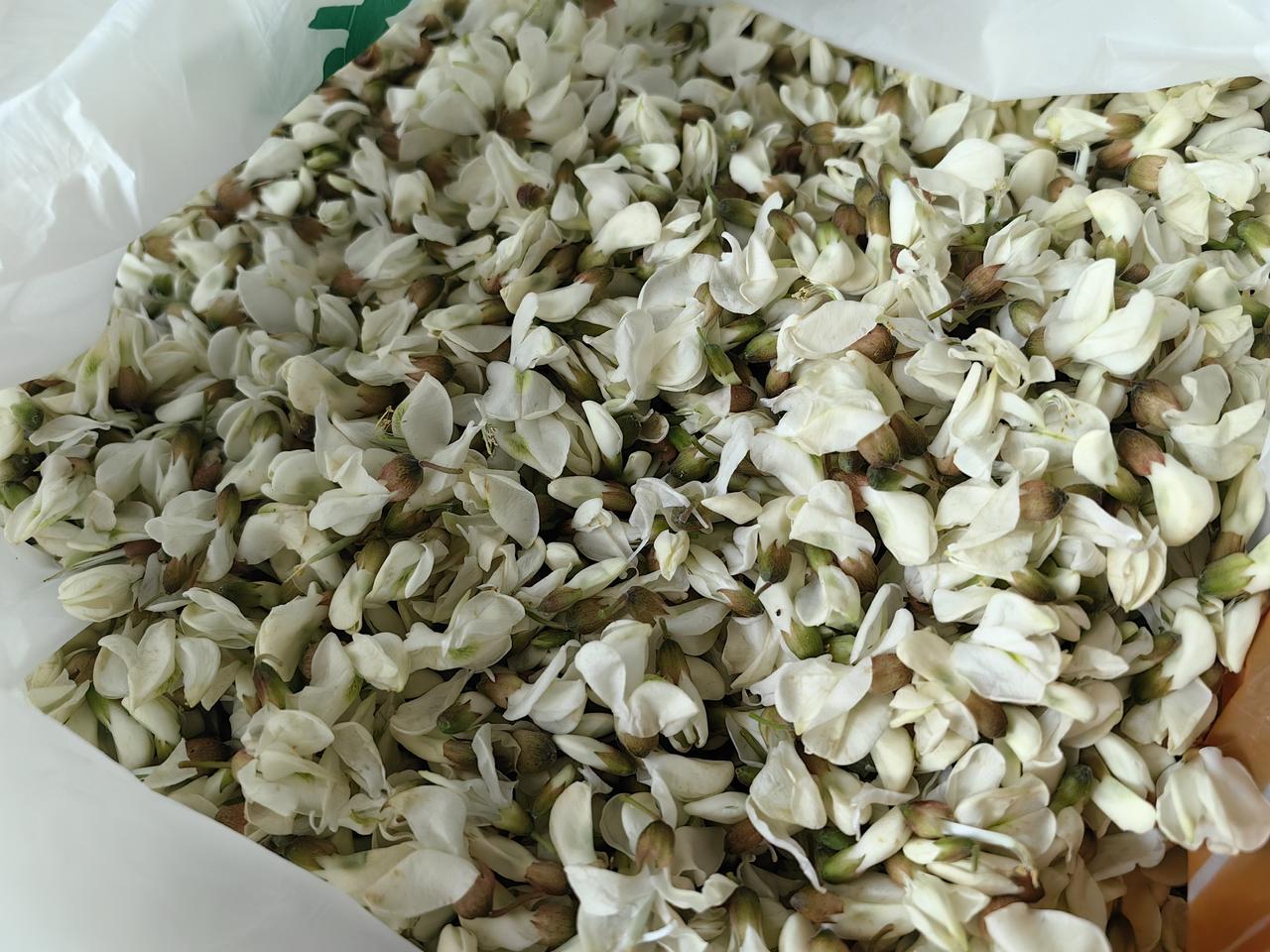 「吃槐花，香到骨子里」
 — 姥姥手记 2026.4.28
今天，邻居大姐给了我