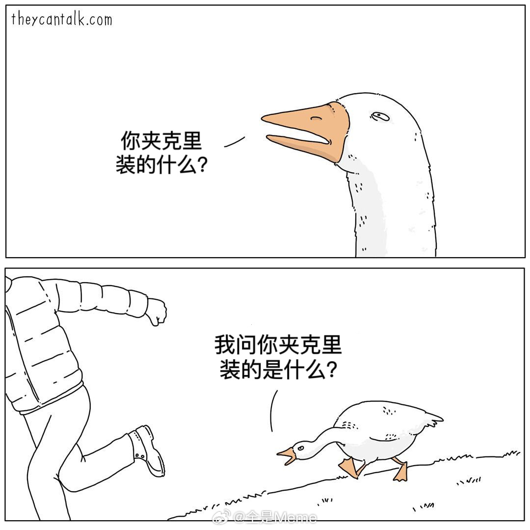 大白鹅骂骂咧咧#meme##me_irl# ​​​