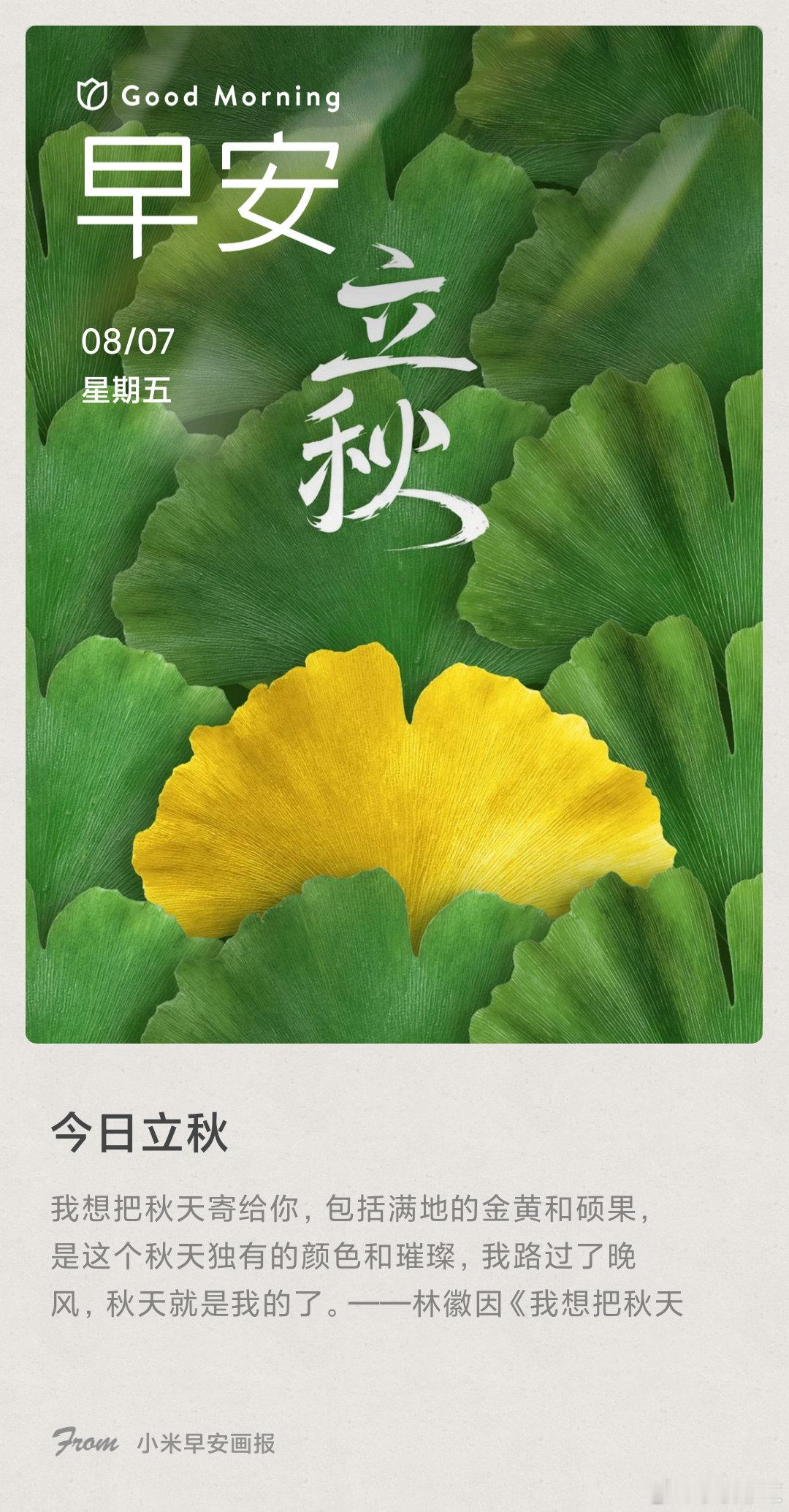 小米画报 今日立秋： 我想把秋天寄给你，包括满地的金黄和硕果，是这个秋天独有的颜
