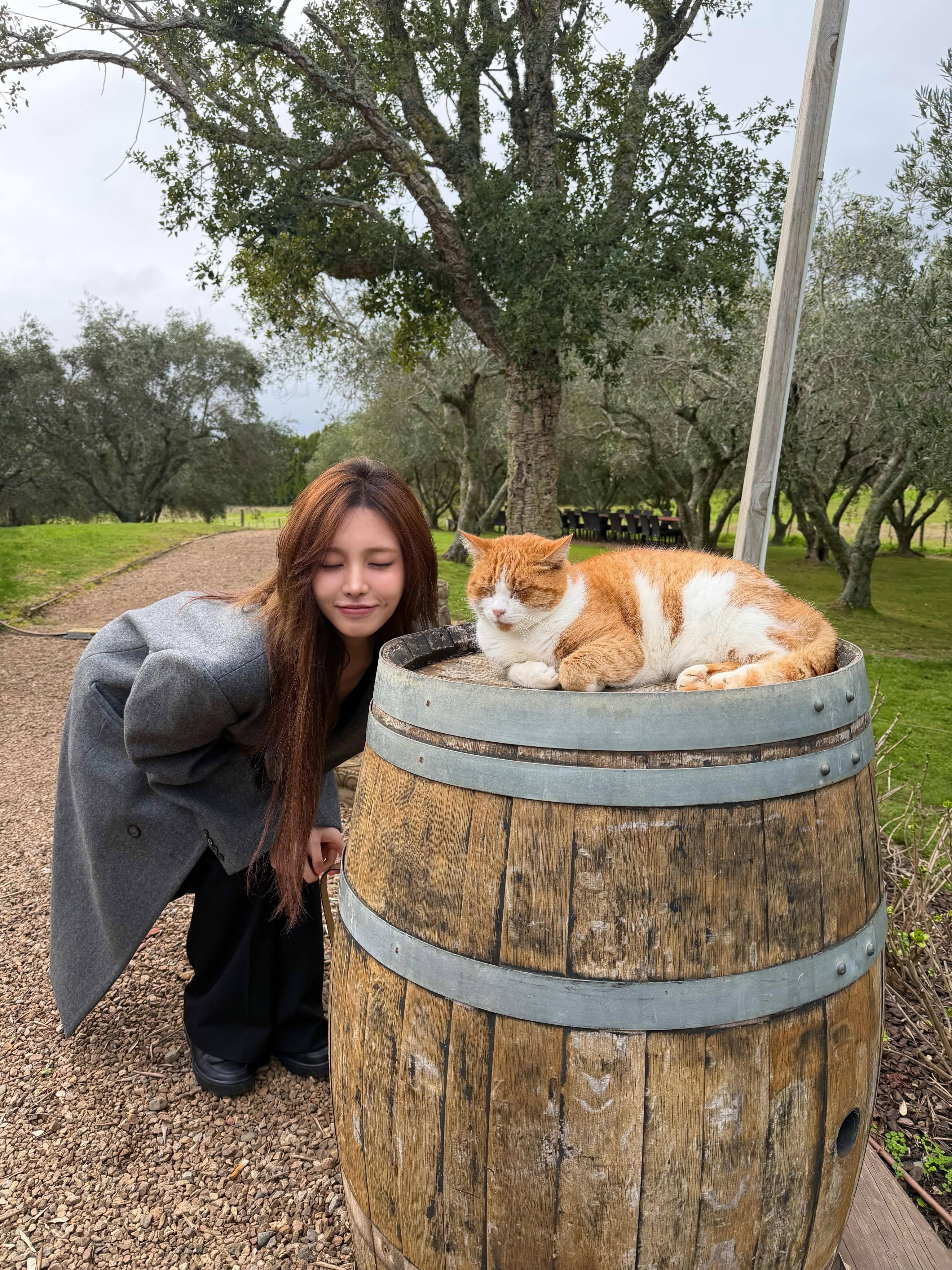 Liz INS更新🩵🥐 