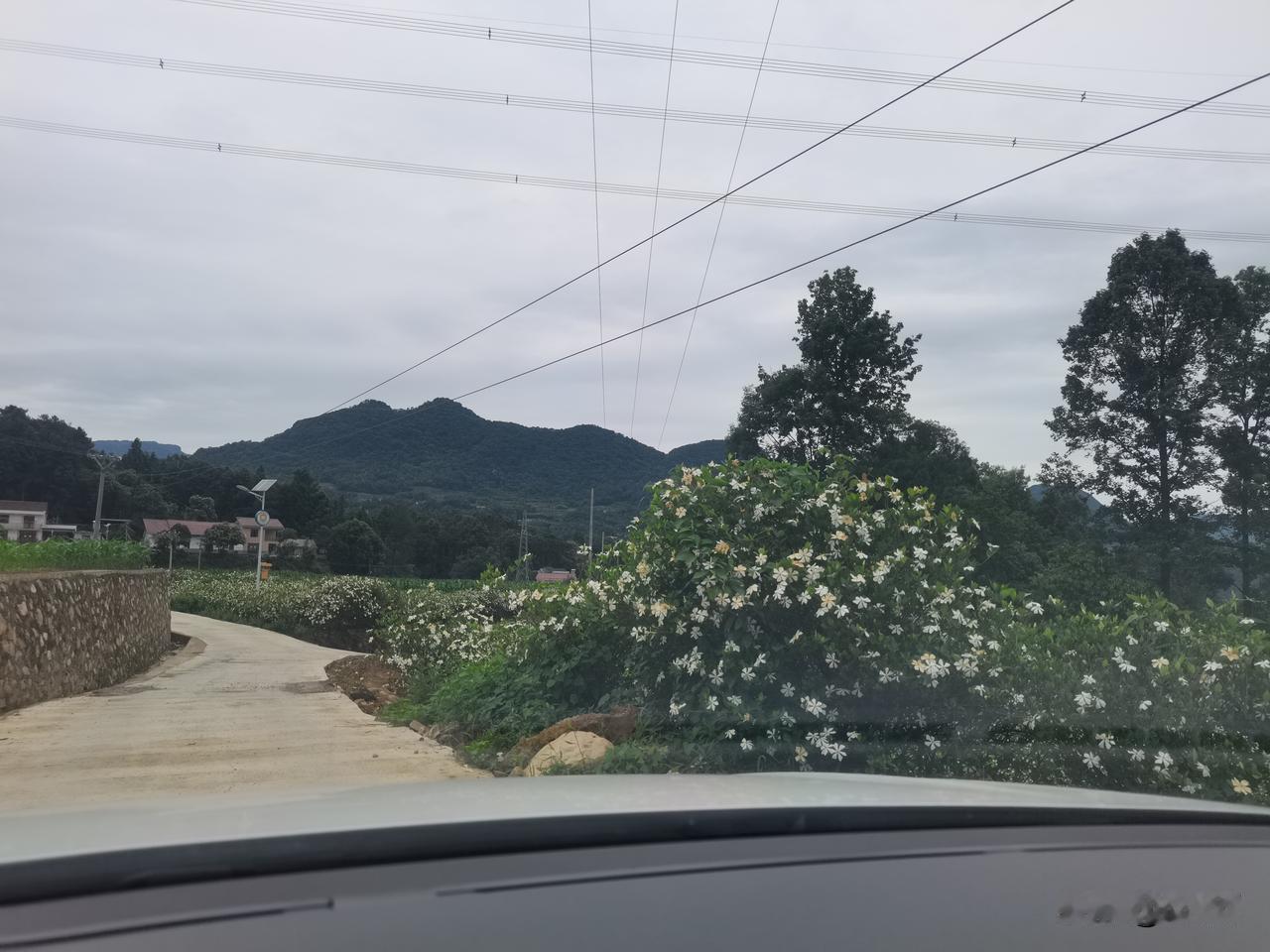 结婚前，对于回老家比较纠结，觉得自己是大龄光棍没脸，半年回一次；有老婆孩子后就不