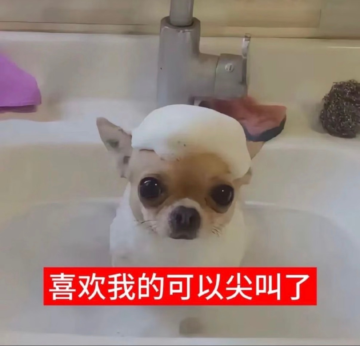 移居青岛的第一条vlog已严肃发布！评论区抽两个妹子每人100元购物基金，618