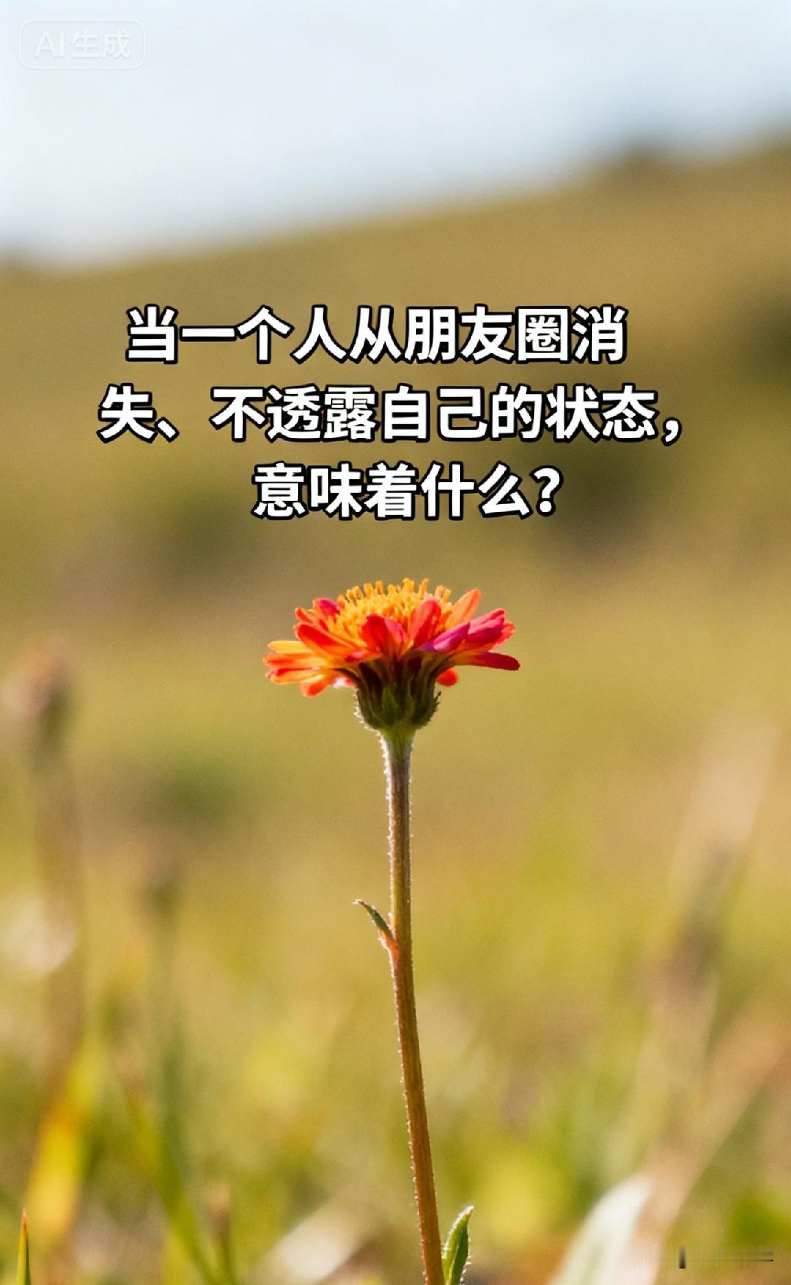 当一个人从朋友圈消失、不透露自己的状态，意味着什么？

心理学家荣格说过一句话：