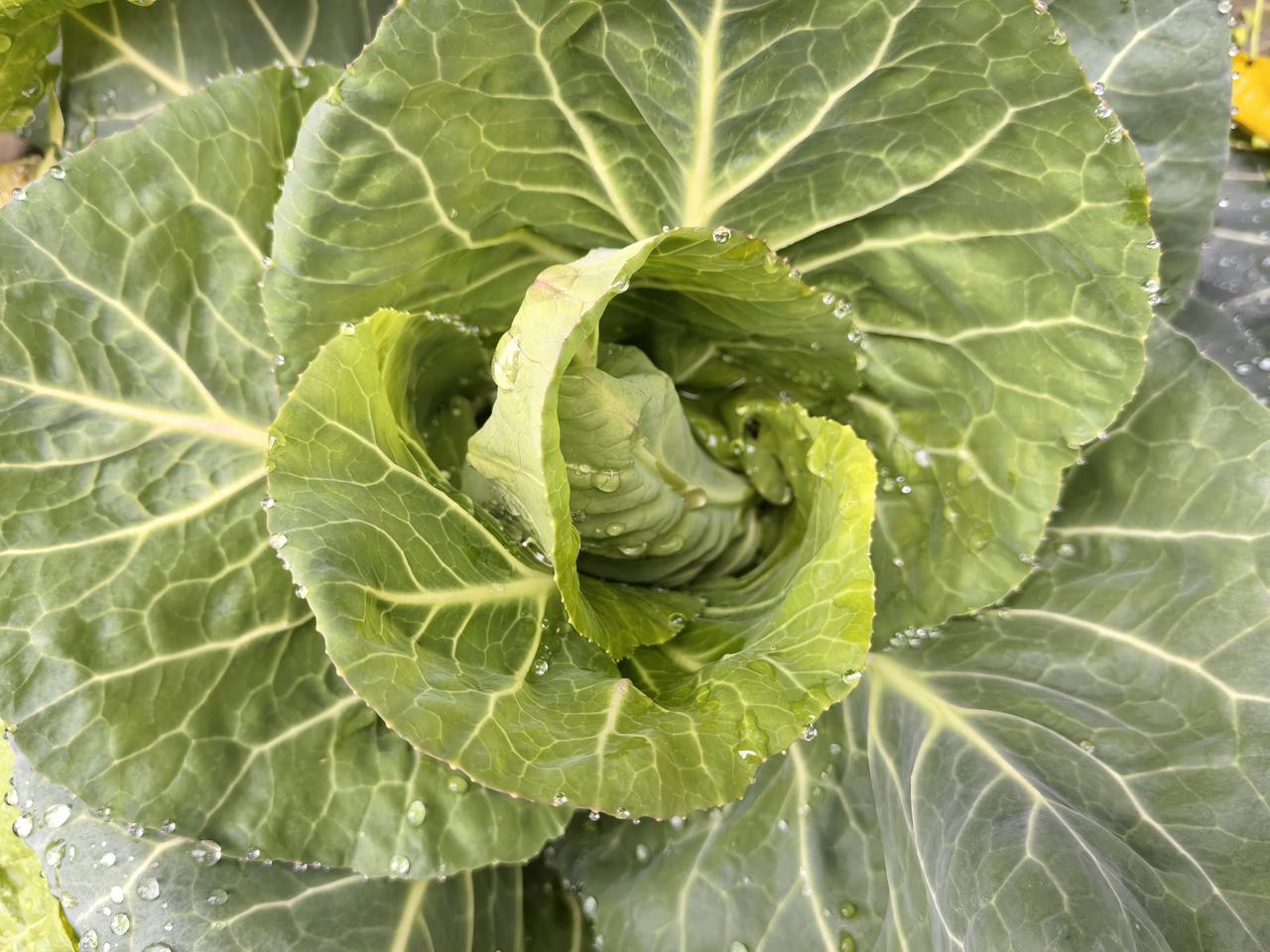 按现在的行情，男人娶妻不容易，主要大部分经济责任压在男方身上。

1️⃣婚房和车