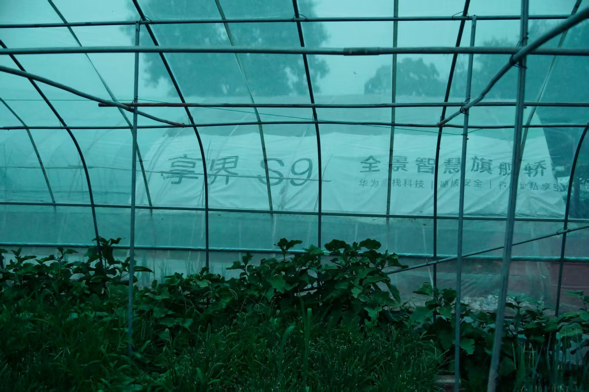 太抽象了谁家蔬菜大棚把享界S9的宣传物料弄上来了[笑cry][笑cry][笑cr