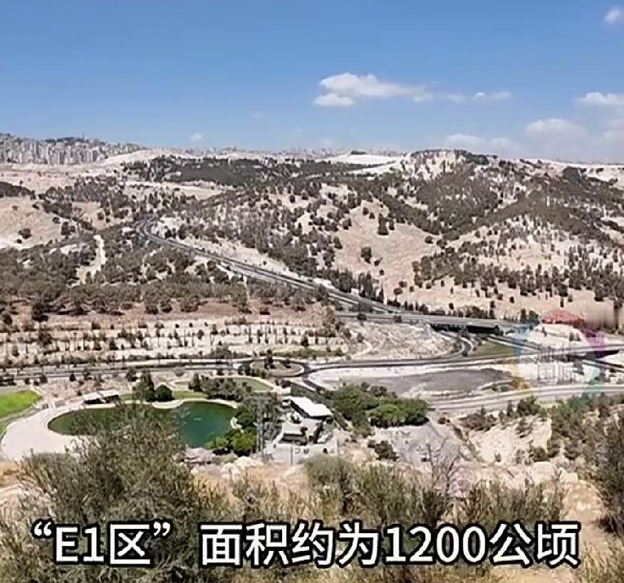 8月20日，英、法、德、意、荷兰、挪威、加拿大七国发布联合声明，强烈反对以色列E