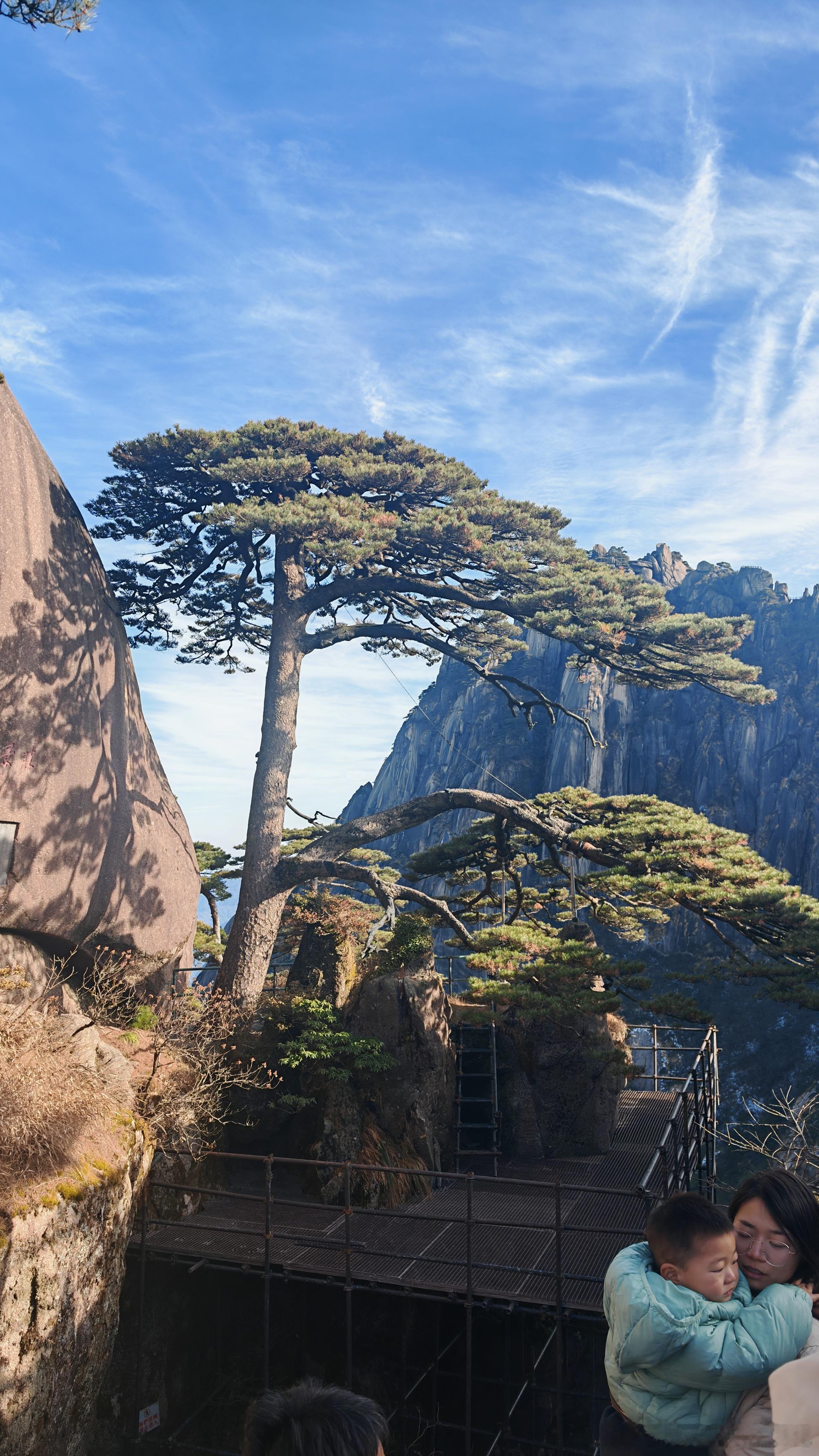 黄山太美了！下次还想来！ 