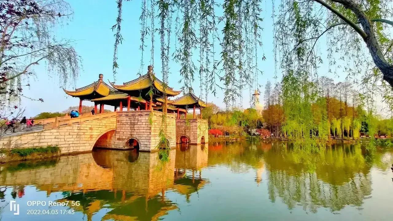 这一天天的彻底躺平了。把脑袋都要躺扁了，不到万不得已真的不想动出门。
在东北林区