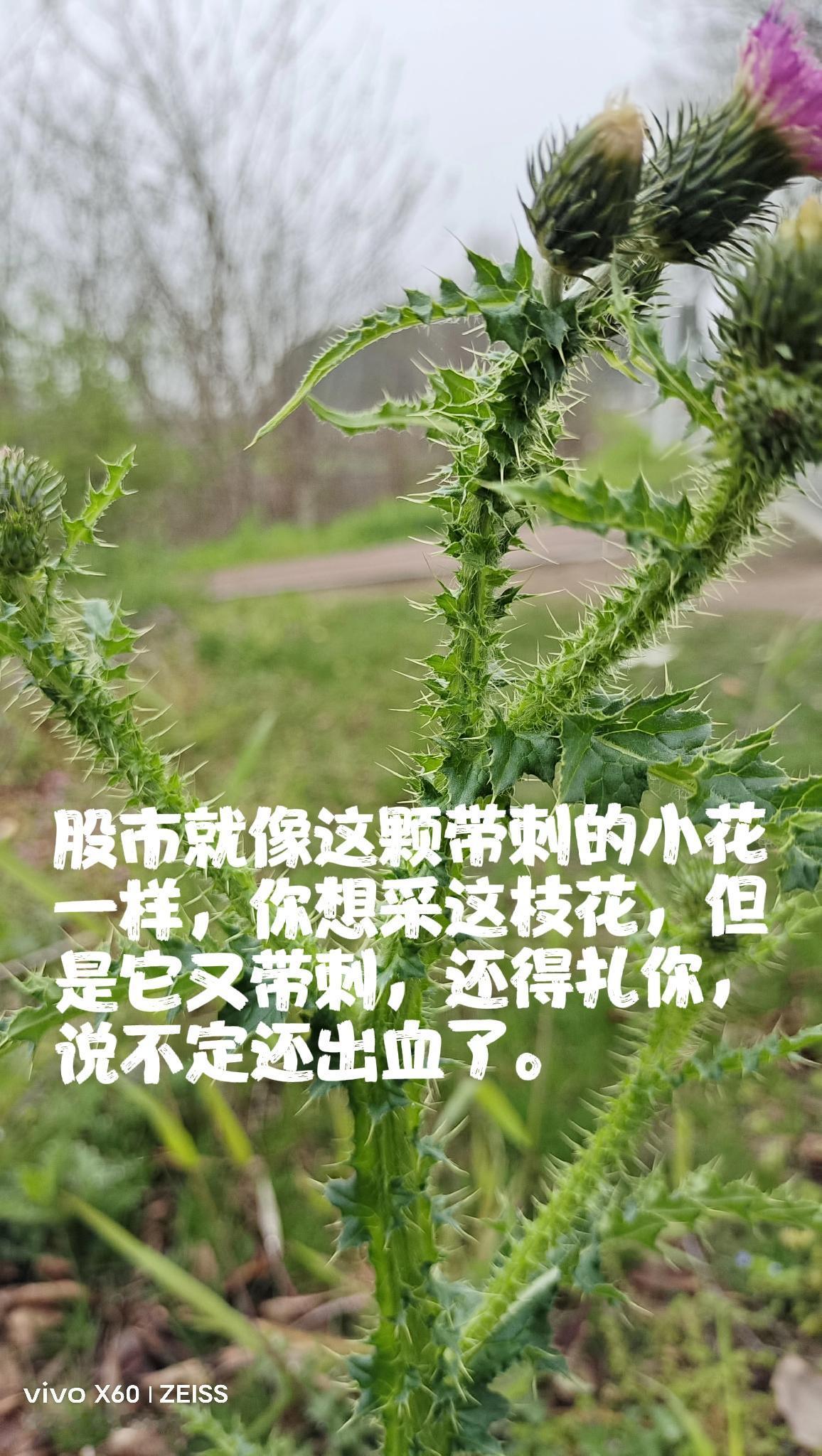 今天大盘又喜忧参半，看着盘面红的和绿的基本上均分，好像绿的多一些，仔细一想哦，原