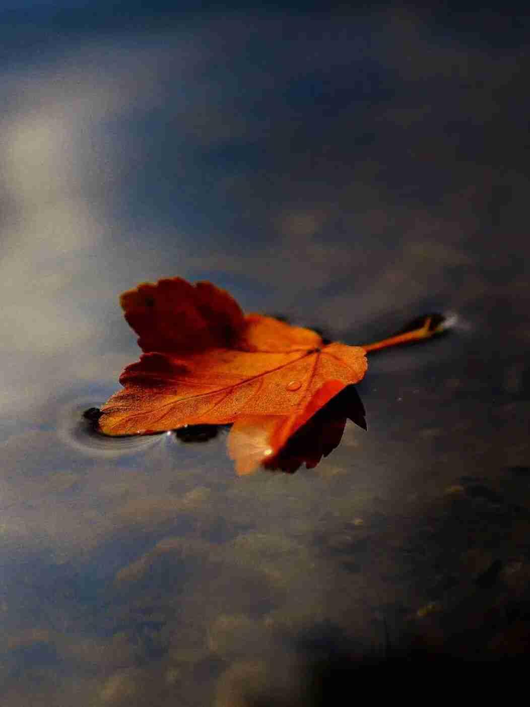 江安的管事部门啊，快管管这殡葬“一条龙”的坑吧！
 


管事的领导们，咱江安的