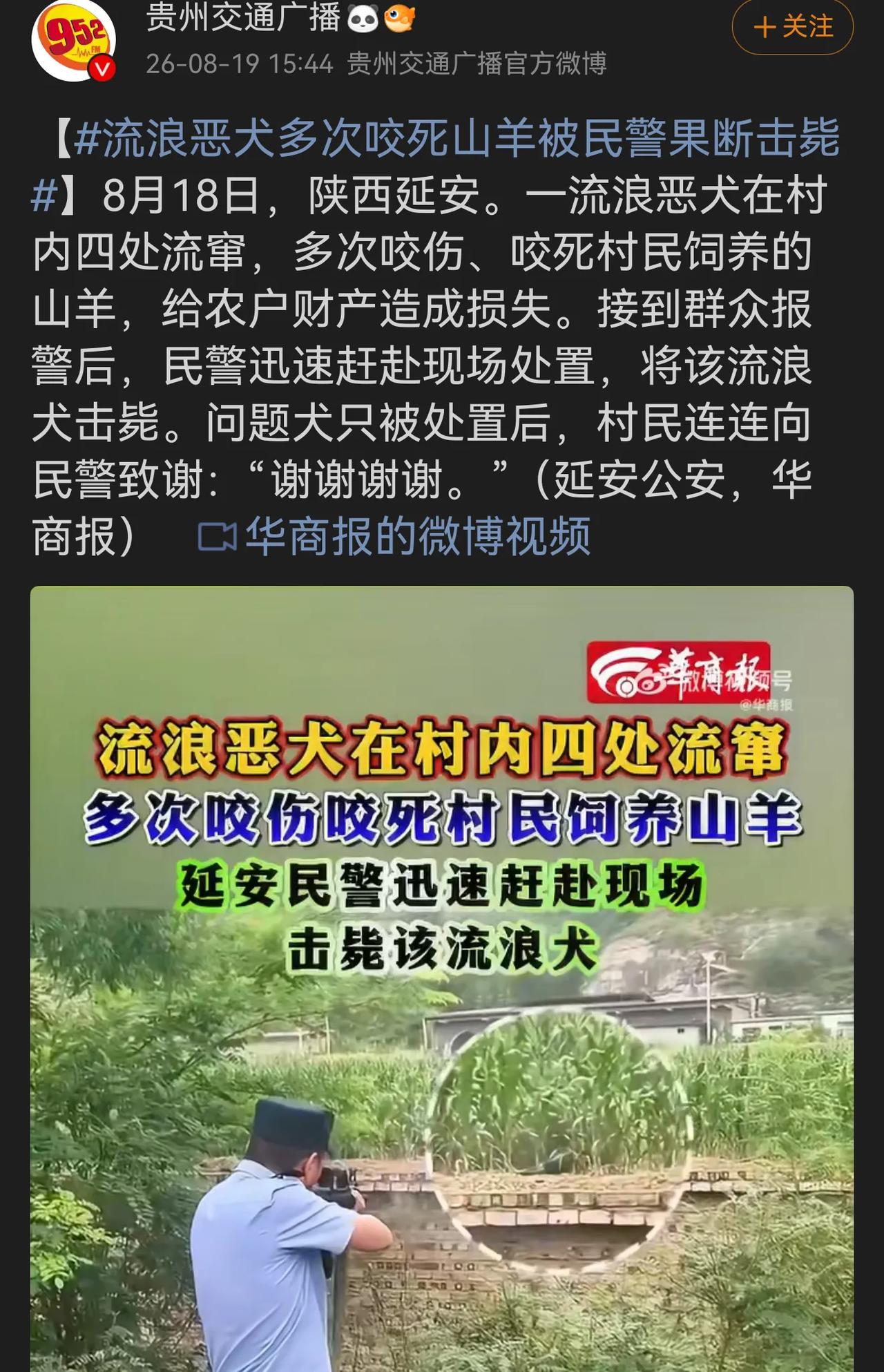 这是猫狗僭越分子的本色。

图1 ，流浪狗祸害人民群众的牲畜，被民警击毙，人民群