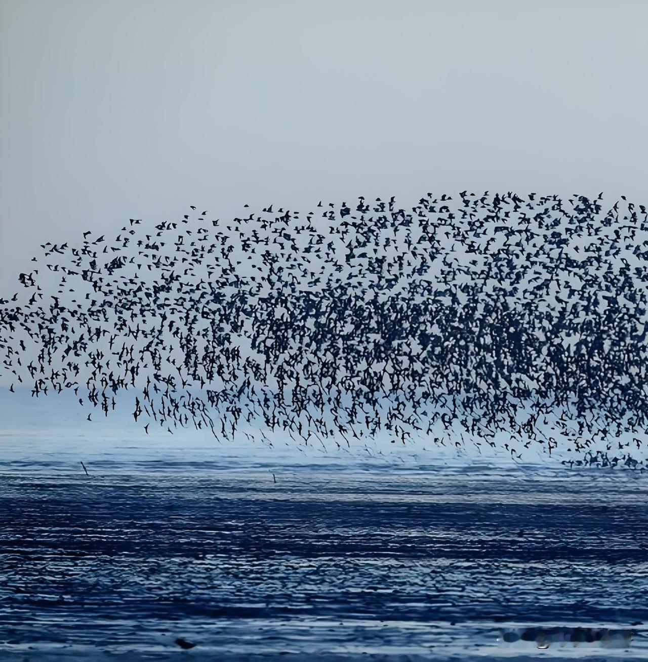 丹东鸟浪的最佳观测时间是每年春季的3月下旬至5月初，其中4月是高峰期，鸟浪最为壮