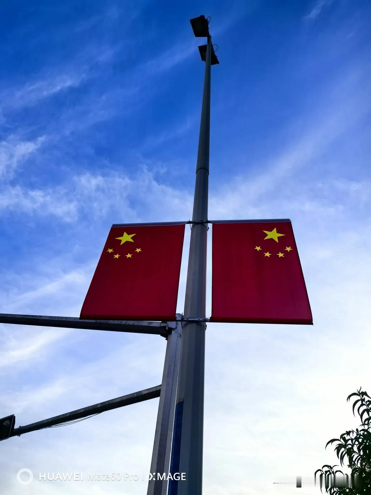 #秋季景色大pk#昨天去崂山区考察金家岭养老院时，在附近的街道随手拍摄的秋天的街