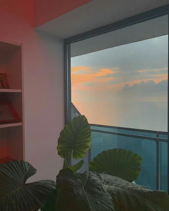 钱是一个人最大的底气，唯有经济独立，你才不能看到那些苟且，你才不会低三下四，你才