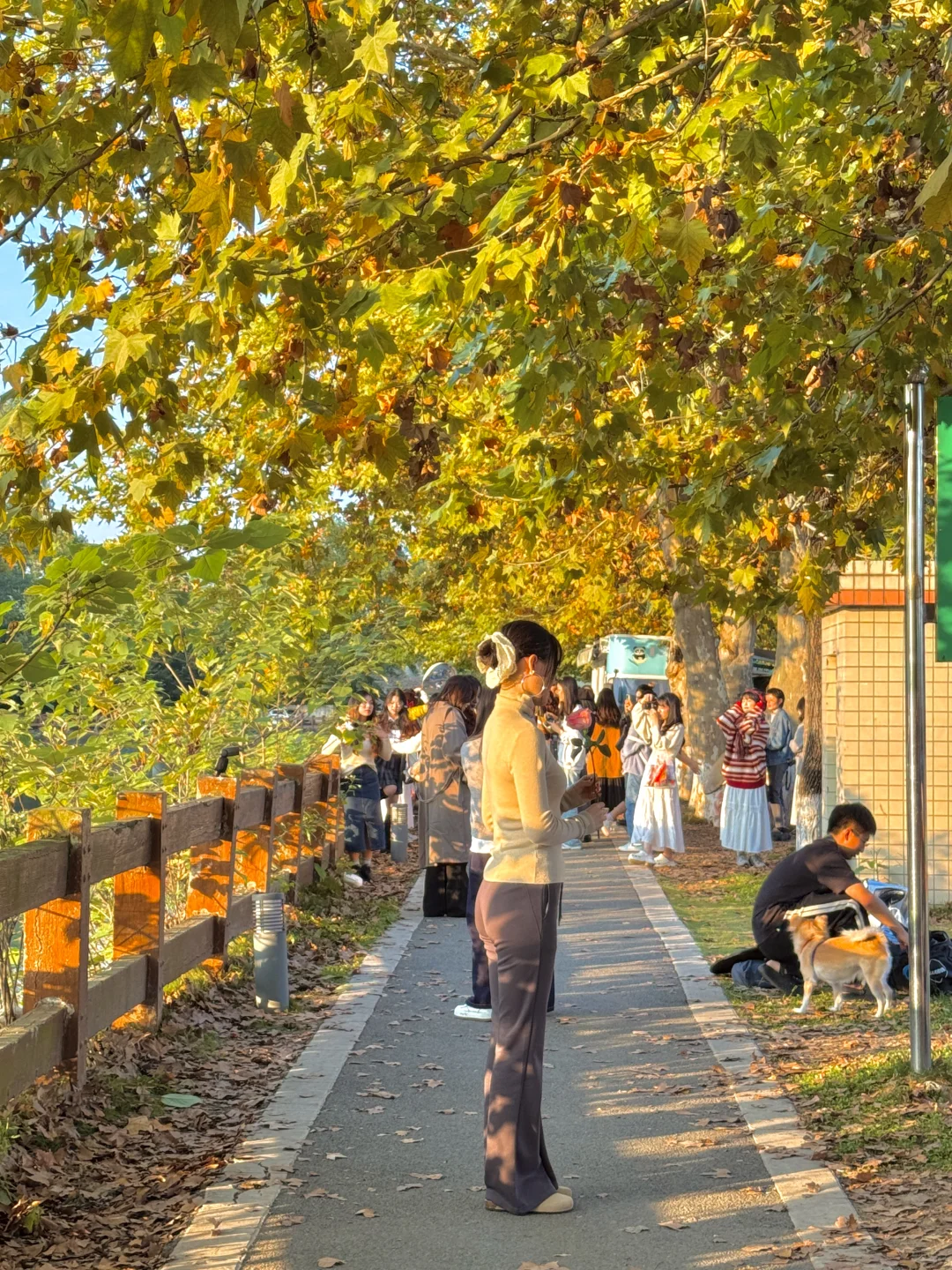 好想留住青龙湖的秋🍁人再多也值得去！！！