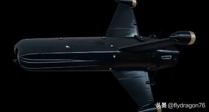 ✈️🇺🇸 美国新型拦截无人机

位于佛罗里达州棕榈滩的美国 Powerus 