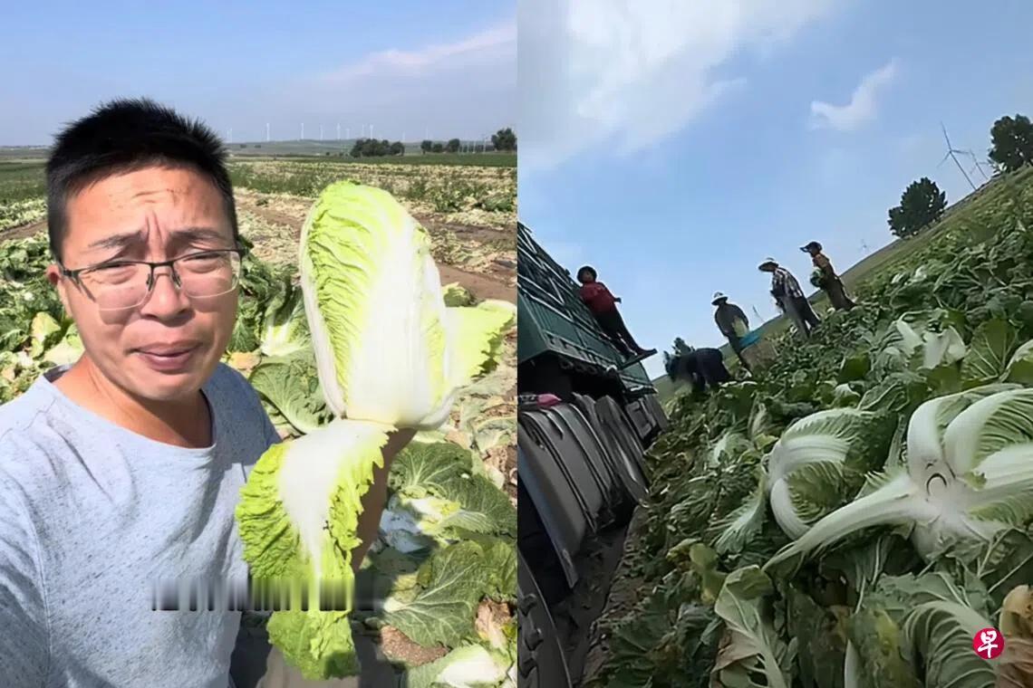 使用甲醛溶液保鲜的康保县大白菜收购商是谁？网友们想去问候它
据目前的公开通报和媒