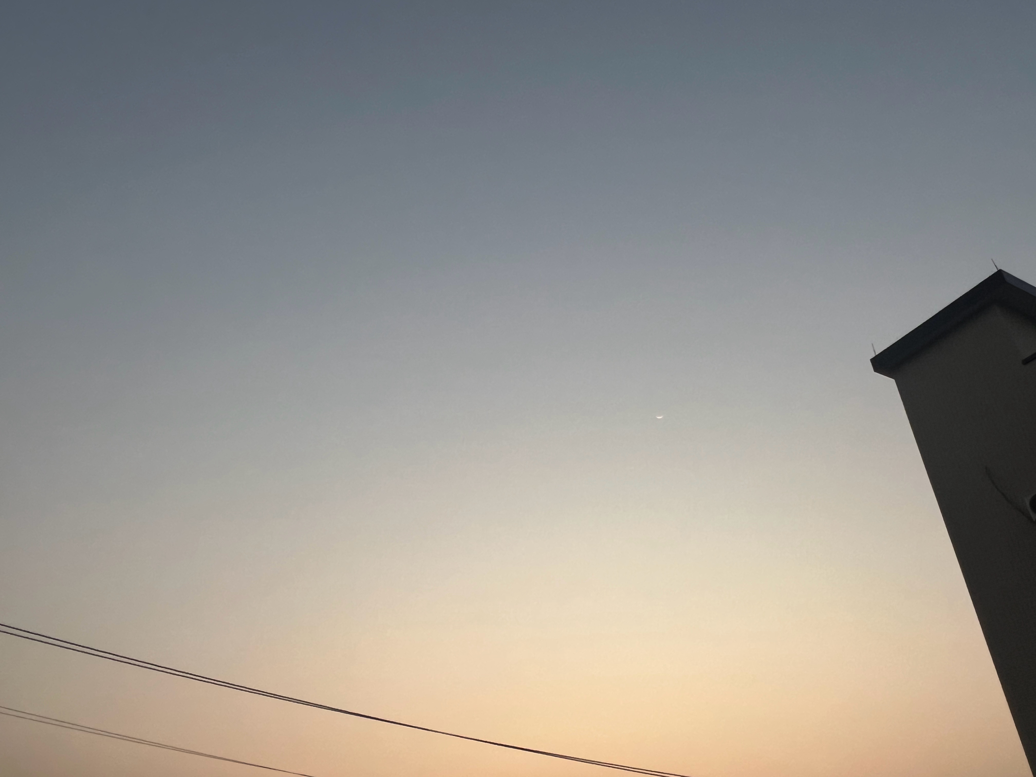 明天我爸妈他们全部都来我家～准备吃中午饭，下午窑鸡，烧烤一条龙～米米爷爷已经提前