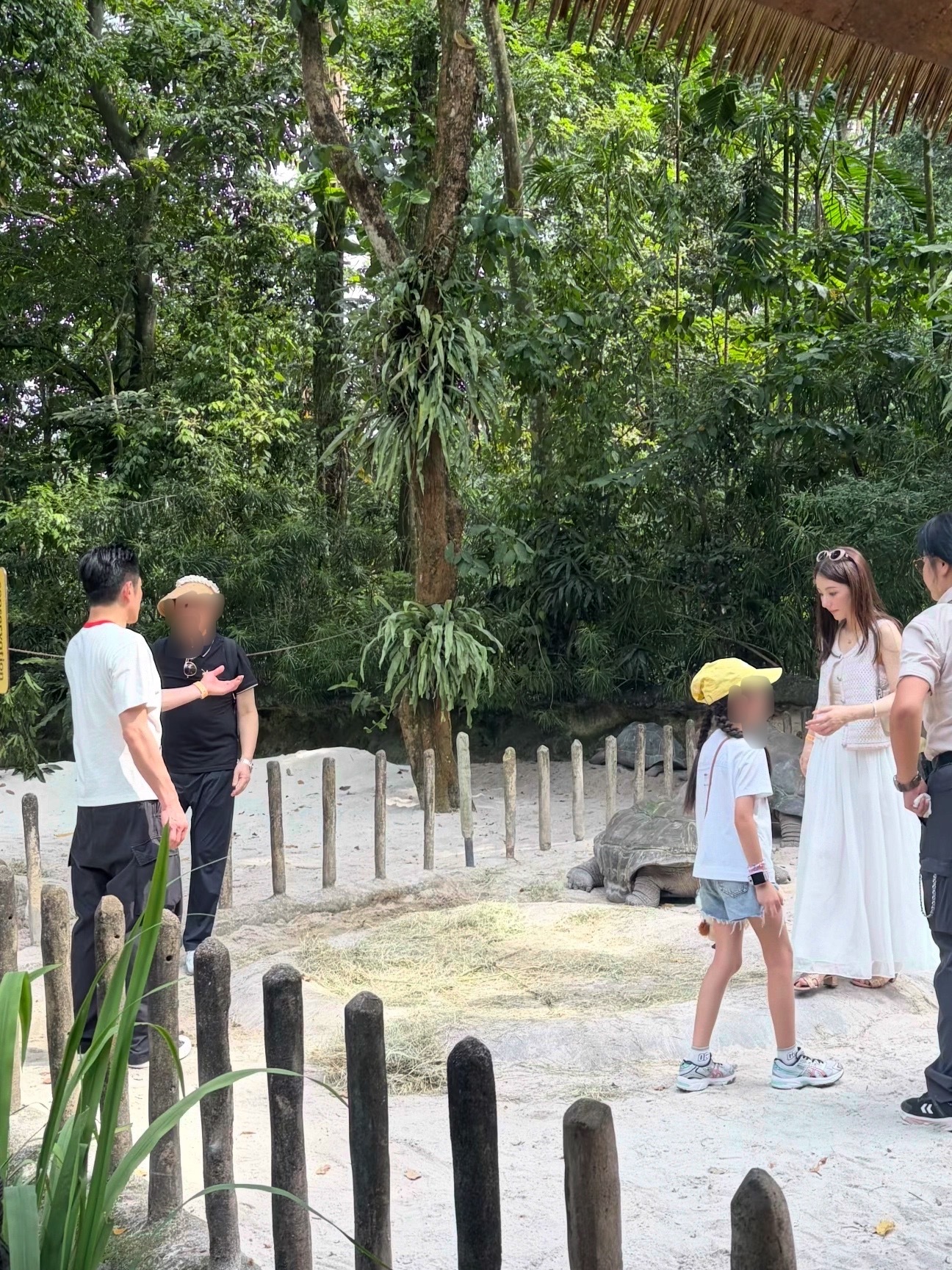 在新加坡动物园偶遇了郭富城和方媛带着女儿新加坡动物园偶遇郭富城一家郭富城方媛带孩