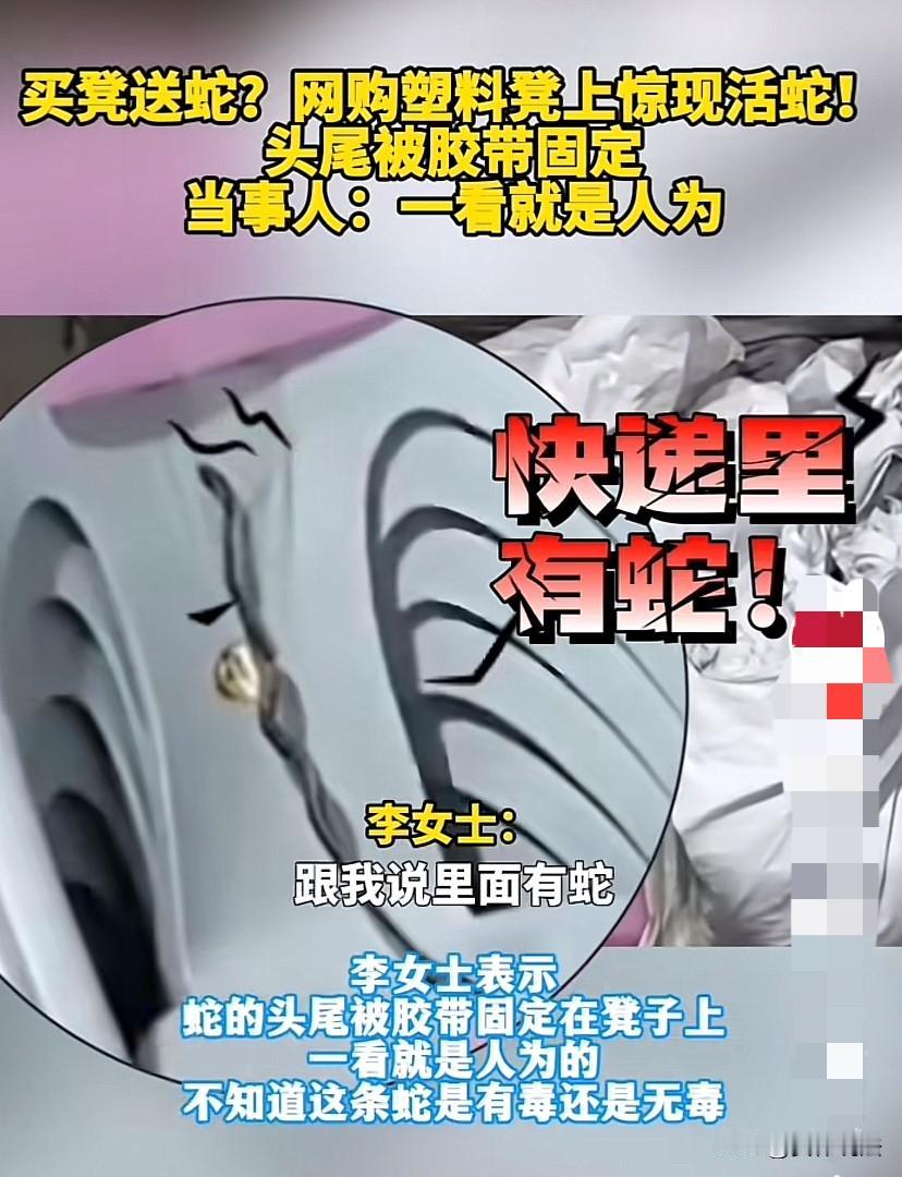 “吓死人！”云南昆明，女子网上买了几个塑料凳，拆开包裹竟然看到一条蛇被胶带粘在凳
