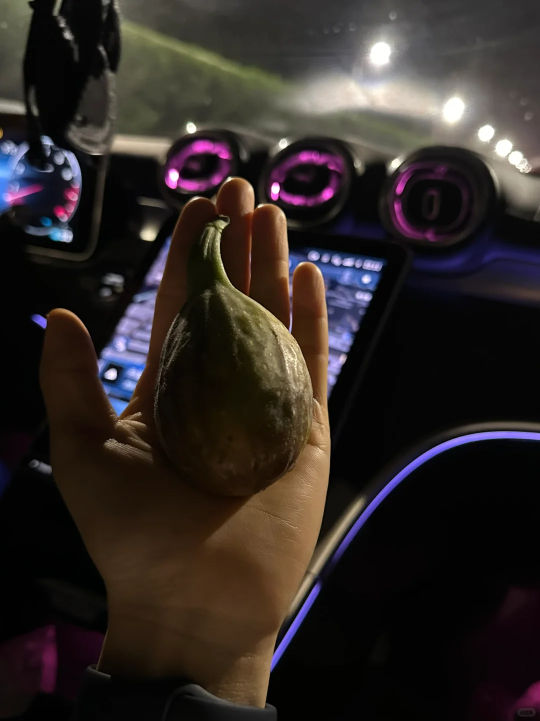 我想在啃鸡大腿！哈哈哈哈哈哈哈