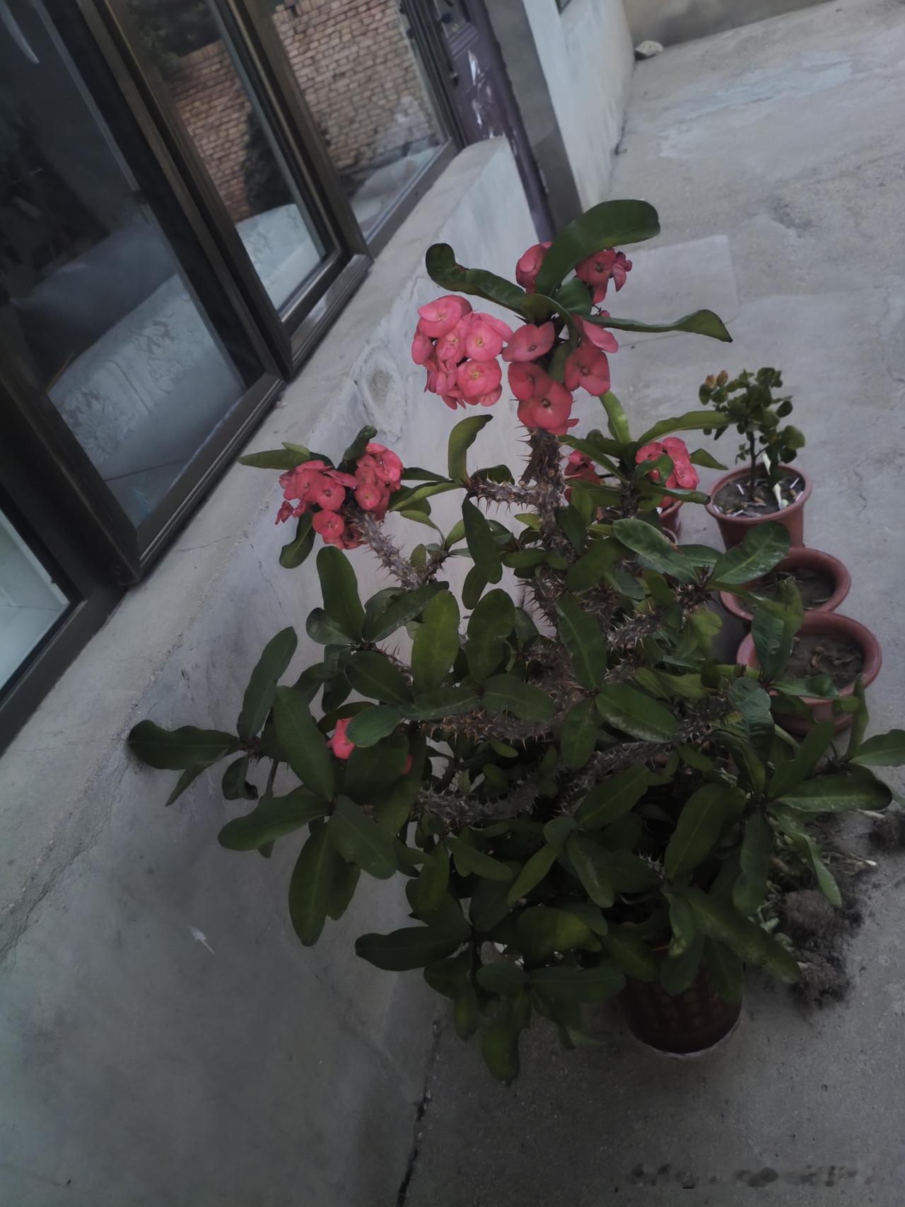 想和情人和平分手还不伤感情，这难度堪比走钢丝。我觉得可以试试“温情回忆法”。找个