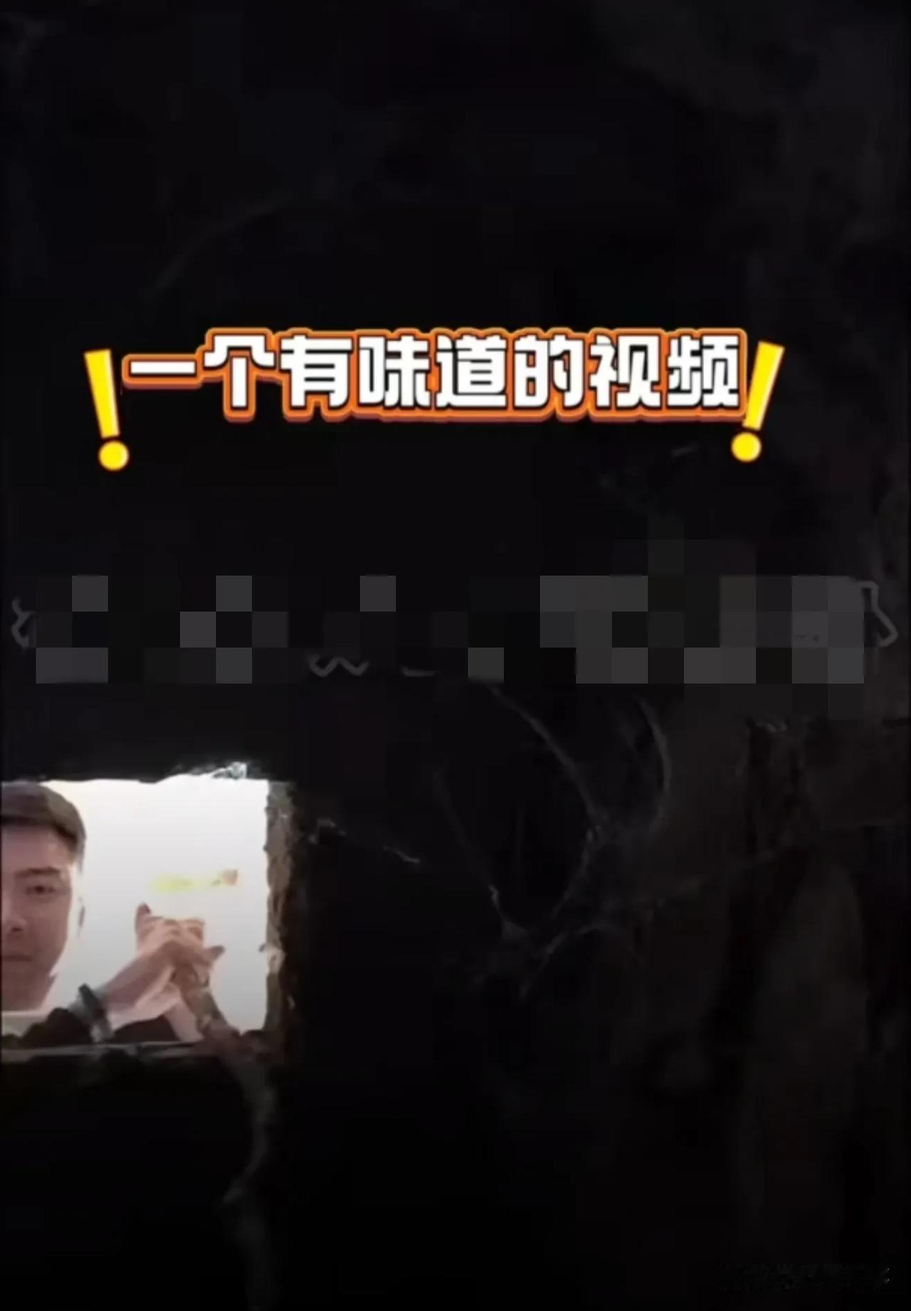 高能慎入！高忆晨直播手机不慎掉进旱厕人气飙升，现场上演“粑粑斗争”营救闹剧！
