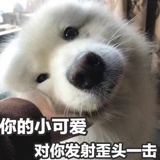 小旺爱谈影视剧