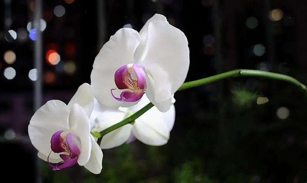 你知道你的老婆为什么不尊重你吗？
今天呢，告诉你一个残酷的真相：
一个女人是否尊