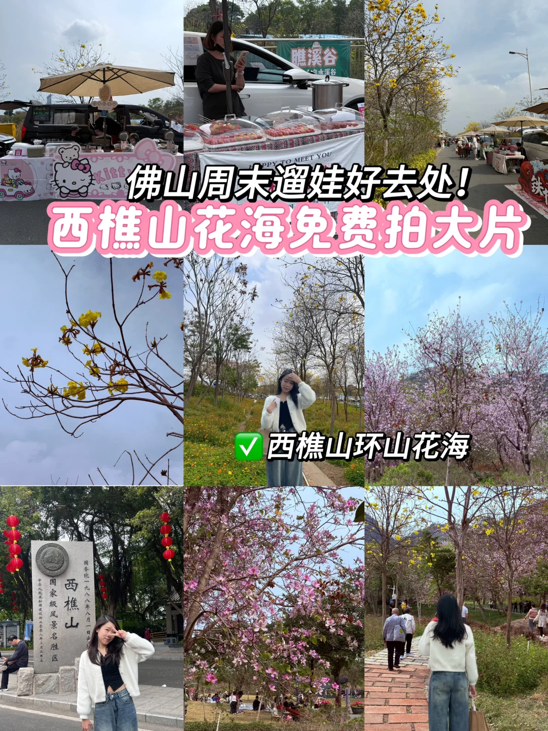 西樵山花海免费拍大片+露营好去处！