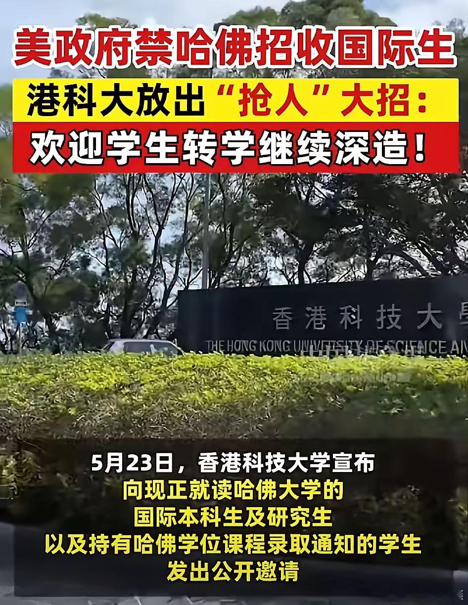 哈佛大学留学生一事，​最大的赢家出现了！​既不是清华，也不是北京大学，而是我们的