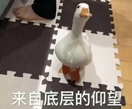 大家在挑灯夜战拼了命去卷考分的时候，她初中升高中不用走全市统考，高中升大学清华加