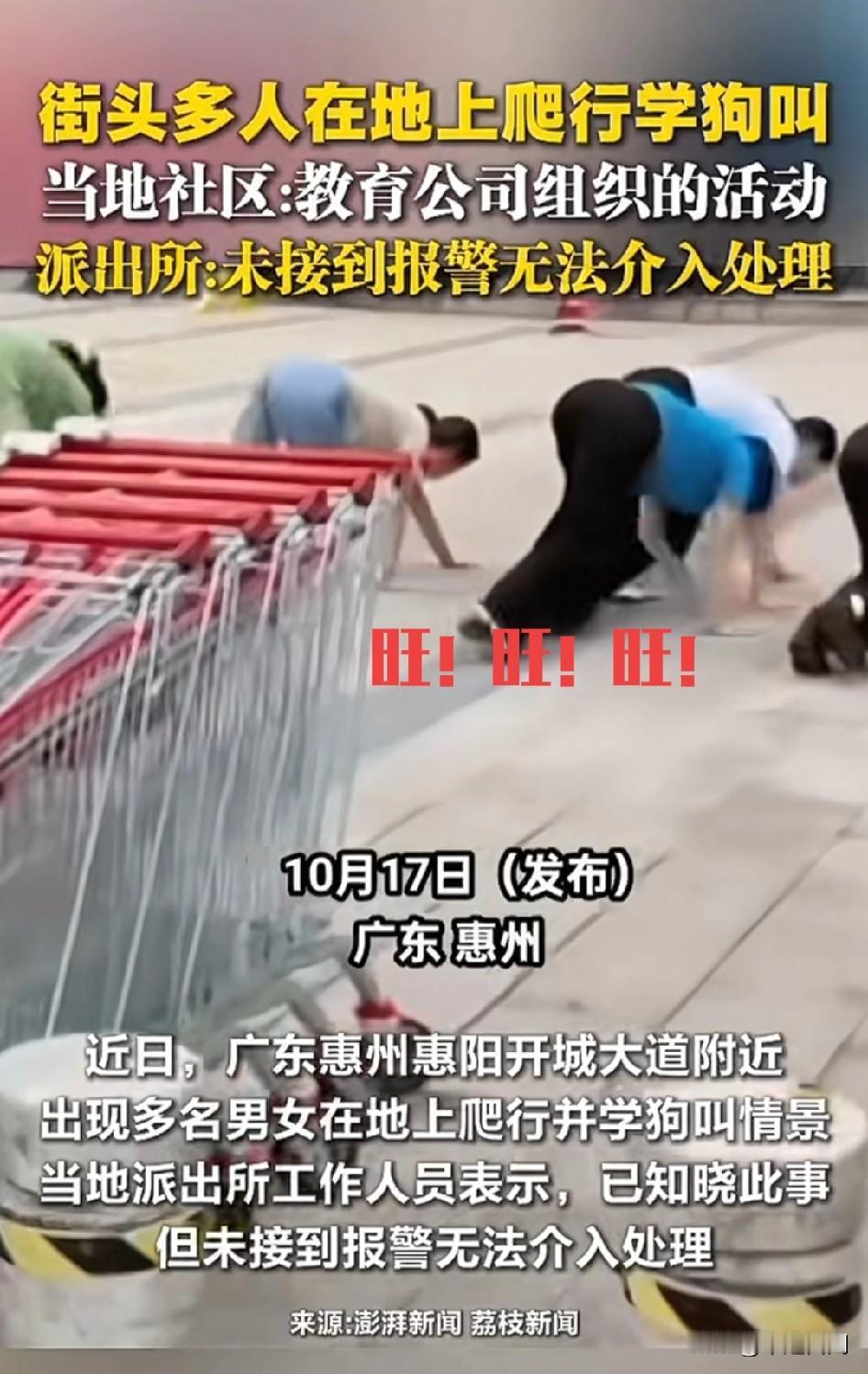 旺旺旺旺旺旺…？
近日广东惠州惊人一幕！狗叫声低沉！
街头多人在地上爬行学狗叫，