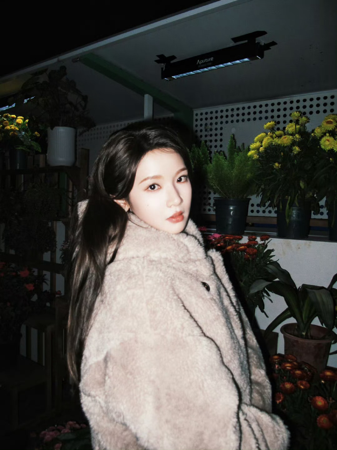 张淼怡新剧深度接触古装 