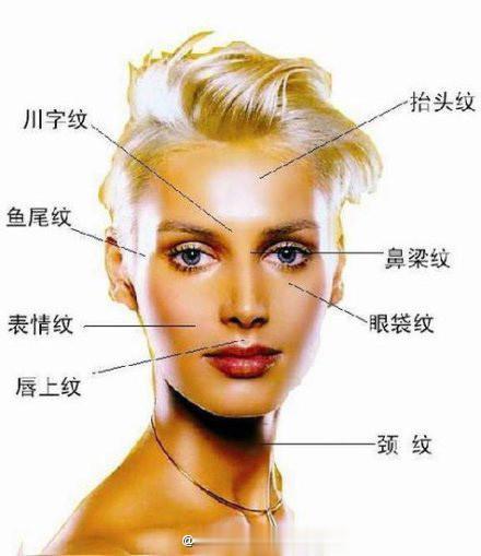 【皱纹的秘密】1.额头皱纹——和抑郁症有关。2.鼻梁皱纹——和记忆力有关。3.脸