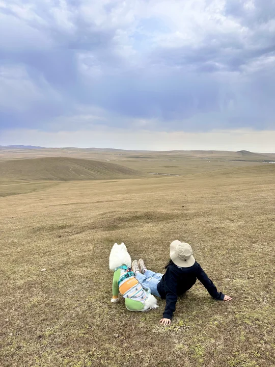 和小狗在内蒙承包了一座山头- Day8