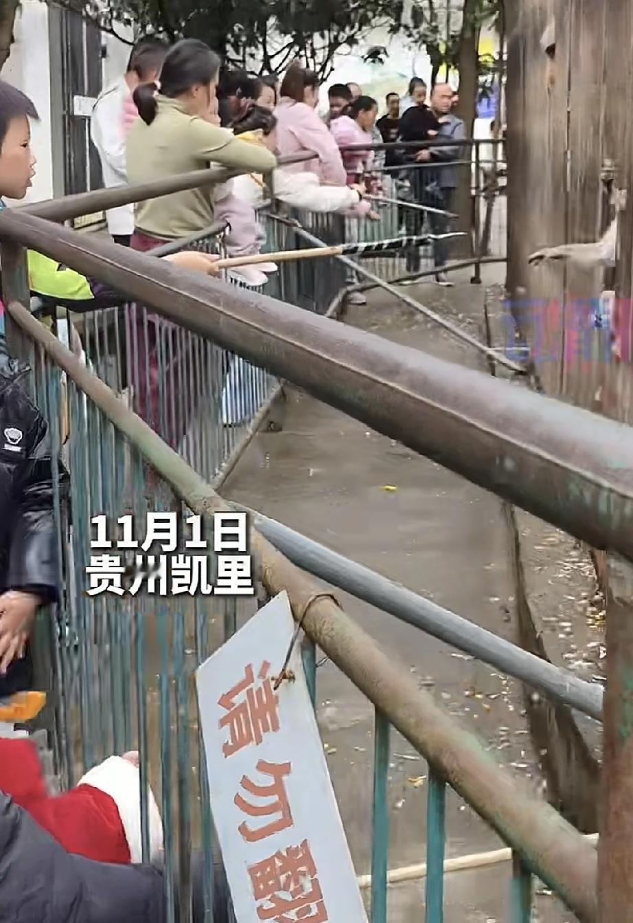 凯里动物园火了
这个园长看上去就很面善
他说
20元的门票不少了
只要够小动物们