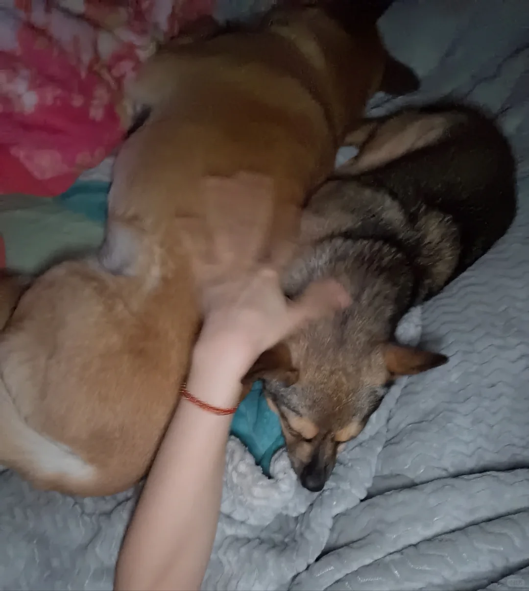 只要手摸的够快，她俩就不觉得我偏心