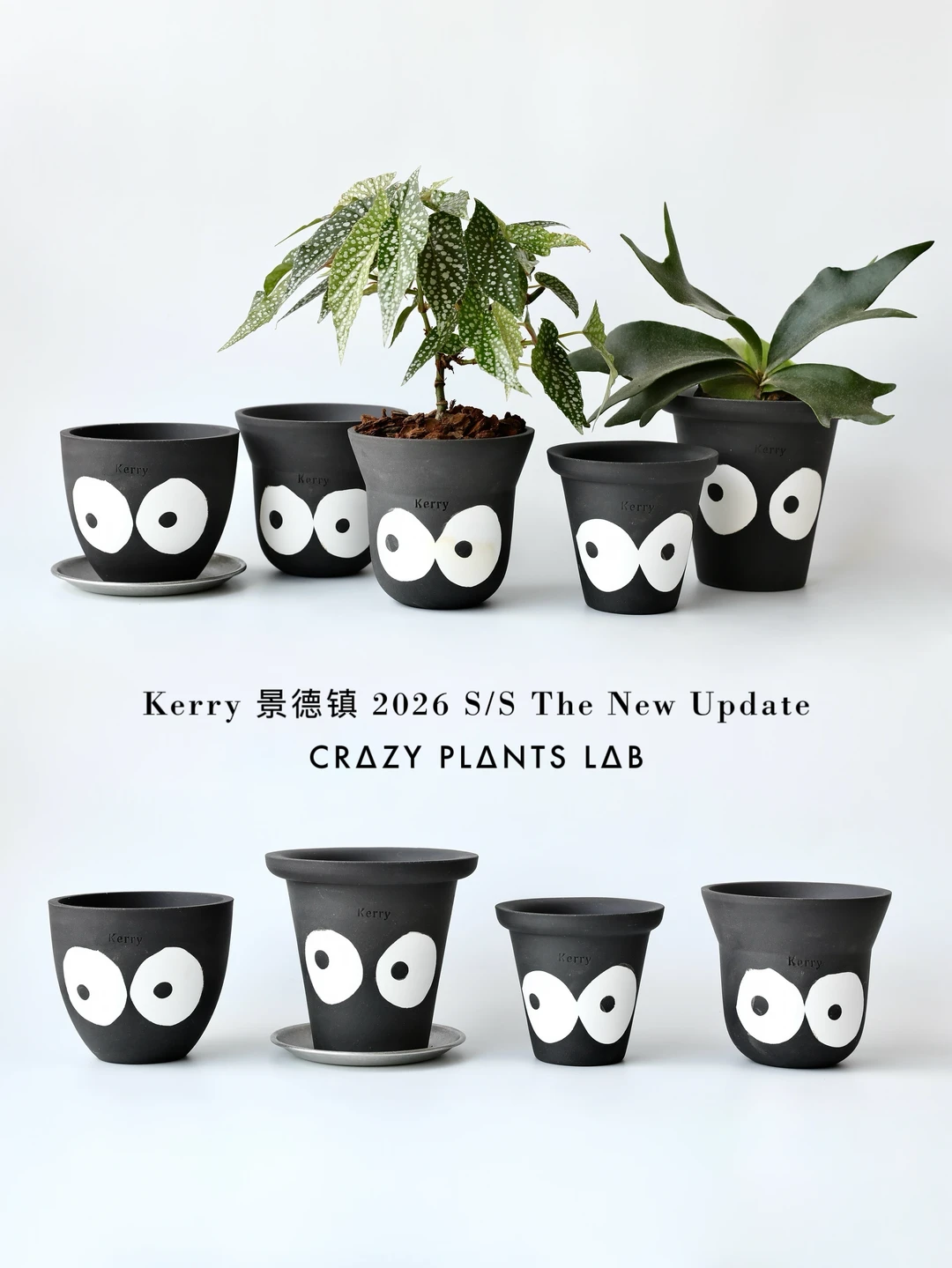 Kerry 👀 | 再看我，再看我就亲你咯～