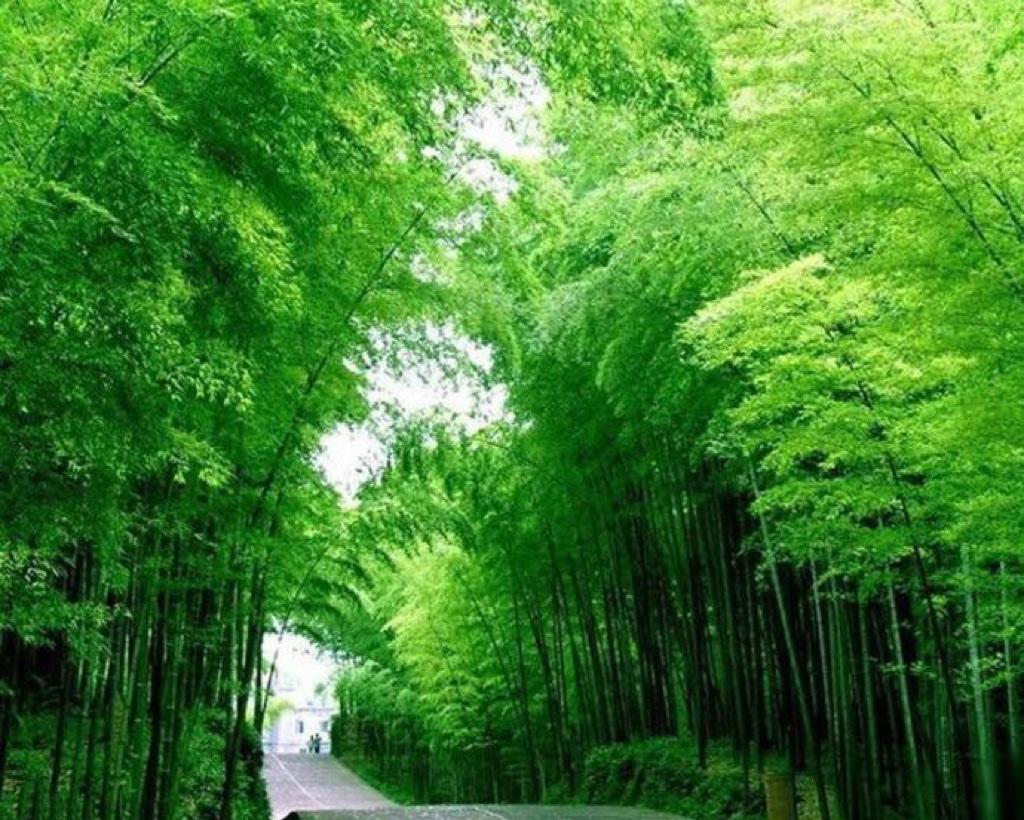年龄不是枷锁，是阅历的勋章。
通透，不是没有杂念，而是懂得取舍，生活无论怎么选都