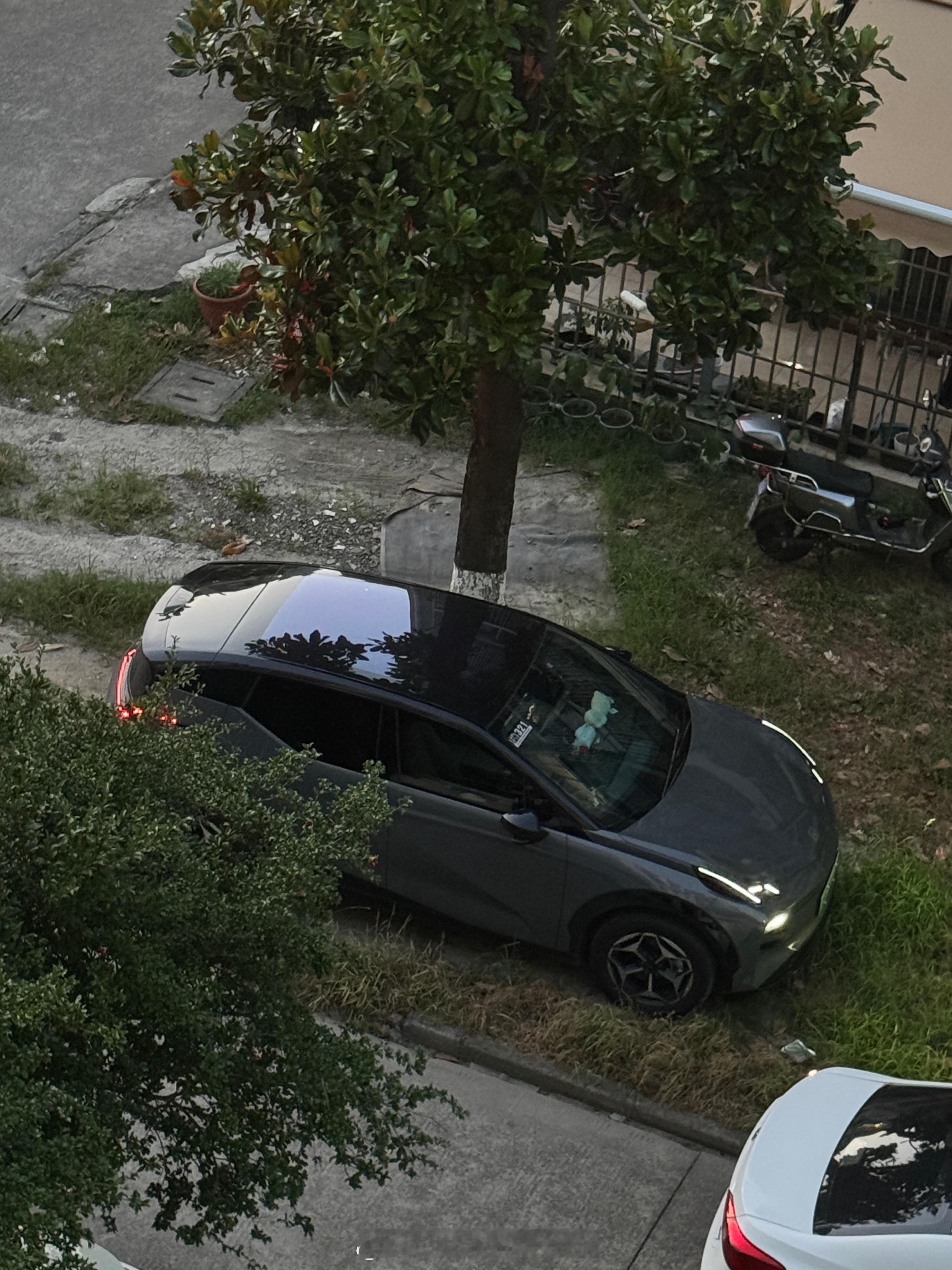 我发誓以后一定好好停车[悲伤]下个车把jio扭了可真行[淡淡的][淡淡的]直接懵