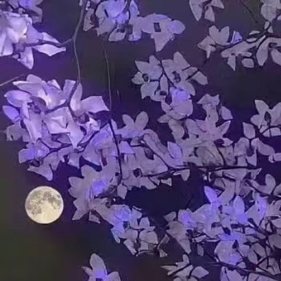 种植[超话]  种植  🪻 微公益  风信子🪻的种植方法风信子种植可以土培或