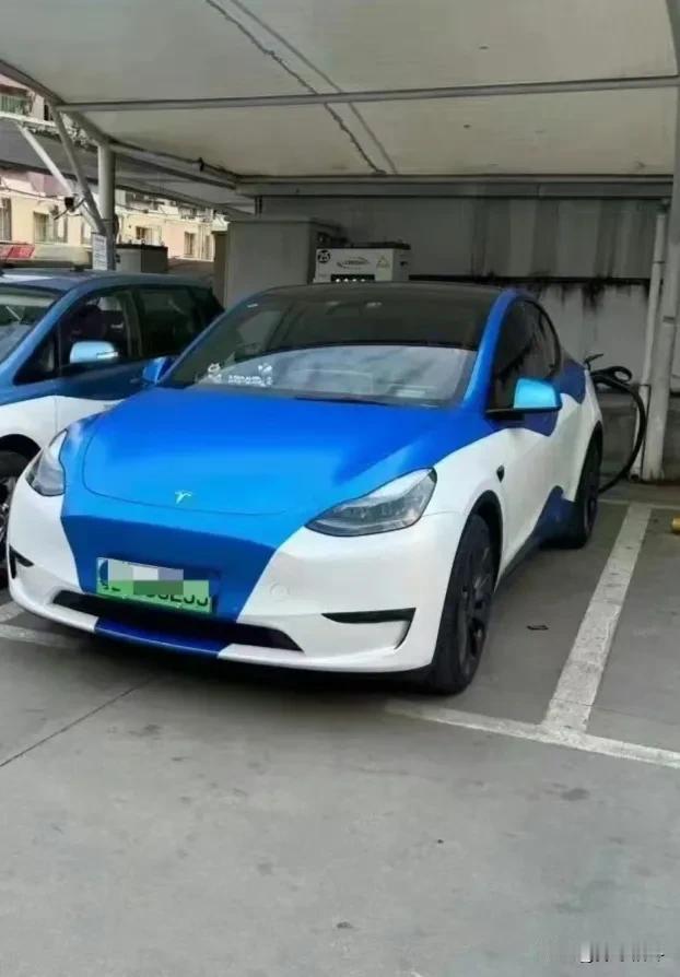 这特斯拉就像是穿了三角裤衩还是双拼色的。